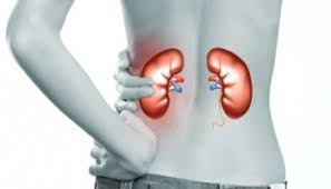 Як впливає питтєвий режим, куріння і високий тиск на здоров’я нирок
